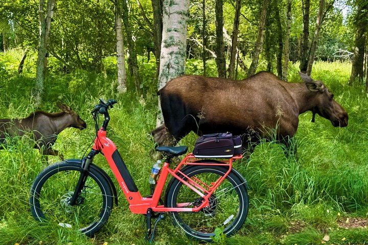 Exclusive: GoEBike Alaska on Tony Knowles Trail - Photo 1 of 25